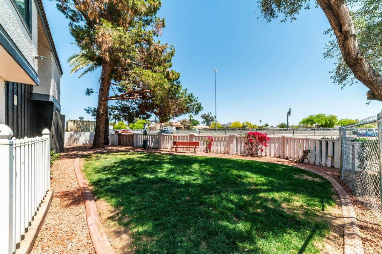 Metro Phx Studio Queen Sleeps 4 Heated Pool Phoenix Esterno foto